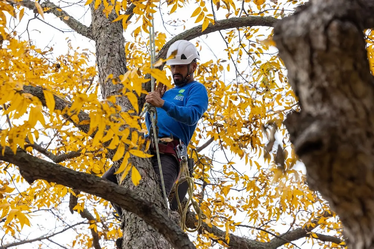 Skilled Storm Damage Cleanup crew working in Cosby